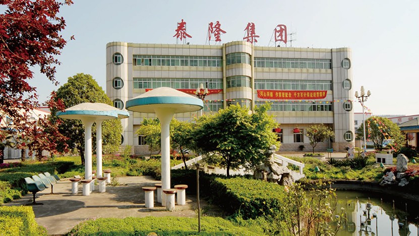 江蘇泰隆減速機(jī)（集團(tuán)）股份有限公司