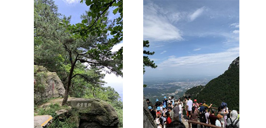 江蘇泰隆減速機(集團(tuán))股份有限公司 江蘇泰隆減速機(集團(tuán))股份有限公司